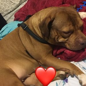 Meet your Posher, Leocadio